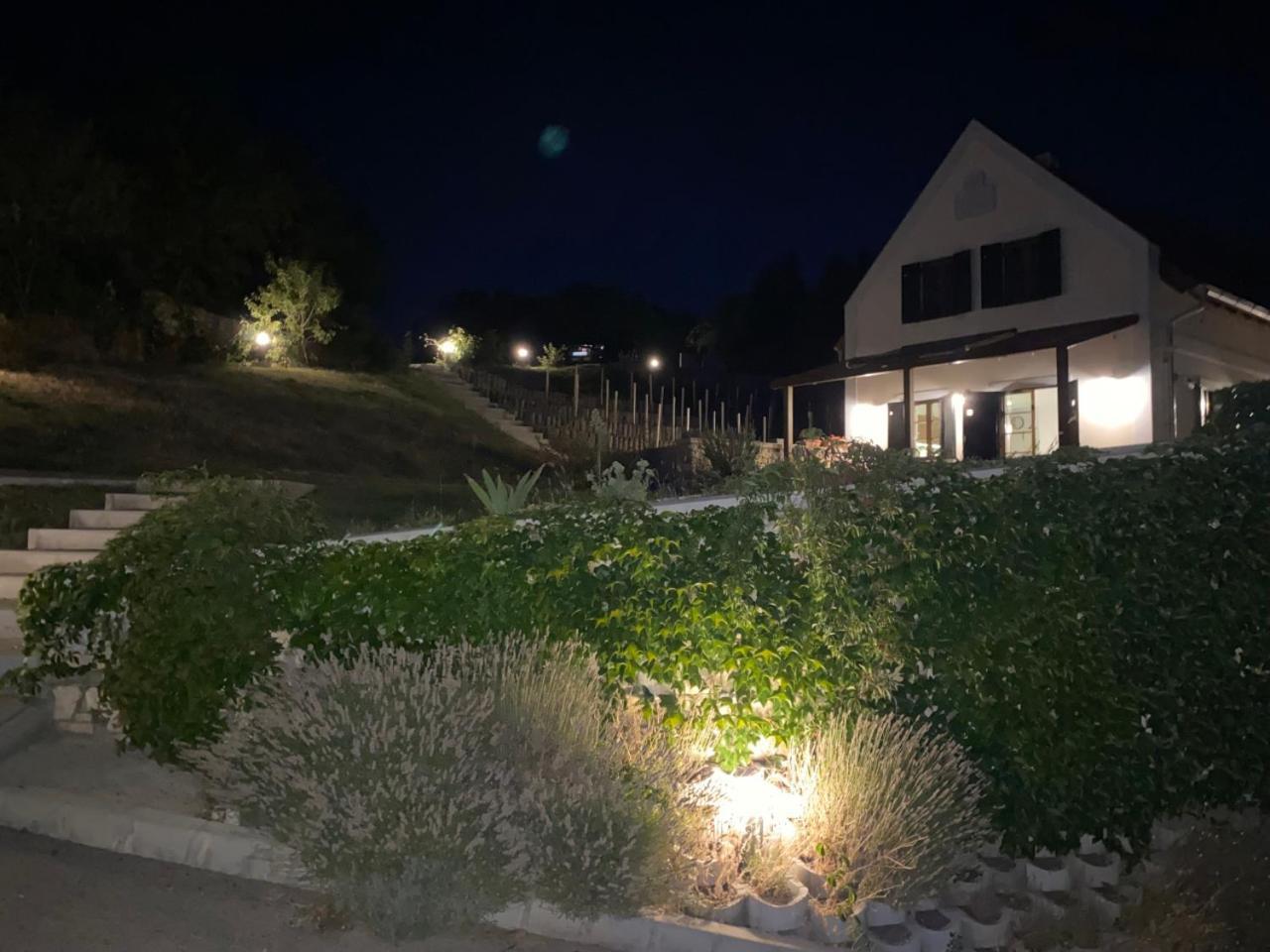 Borbora Borhaz Villa Vászoly Exterior foto